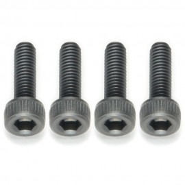 Hex Socket Head Cap Screw M3x10mm